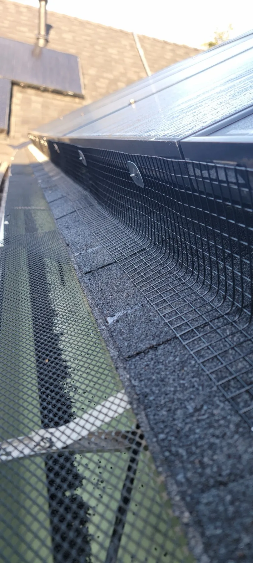 Critter guard mesh running the length of a roofline beneath an installed solar array